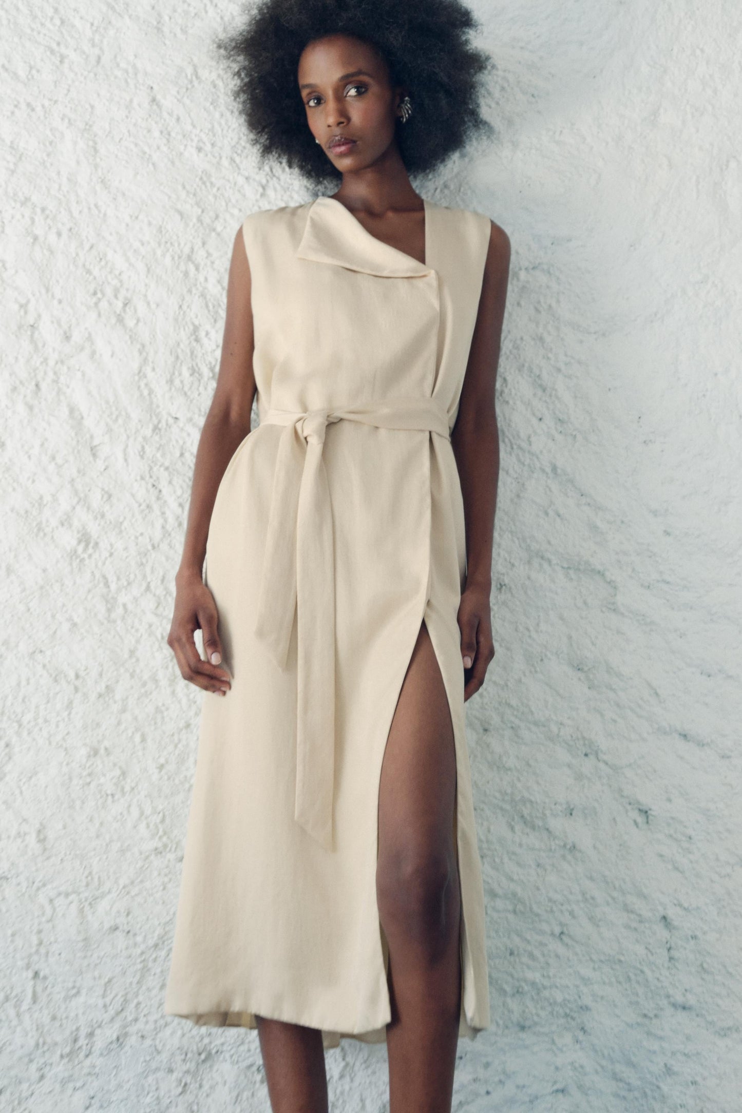 DRESS WITH PLEATED BACK ZW COLLECTION