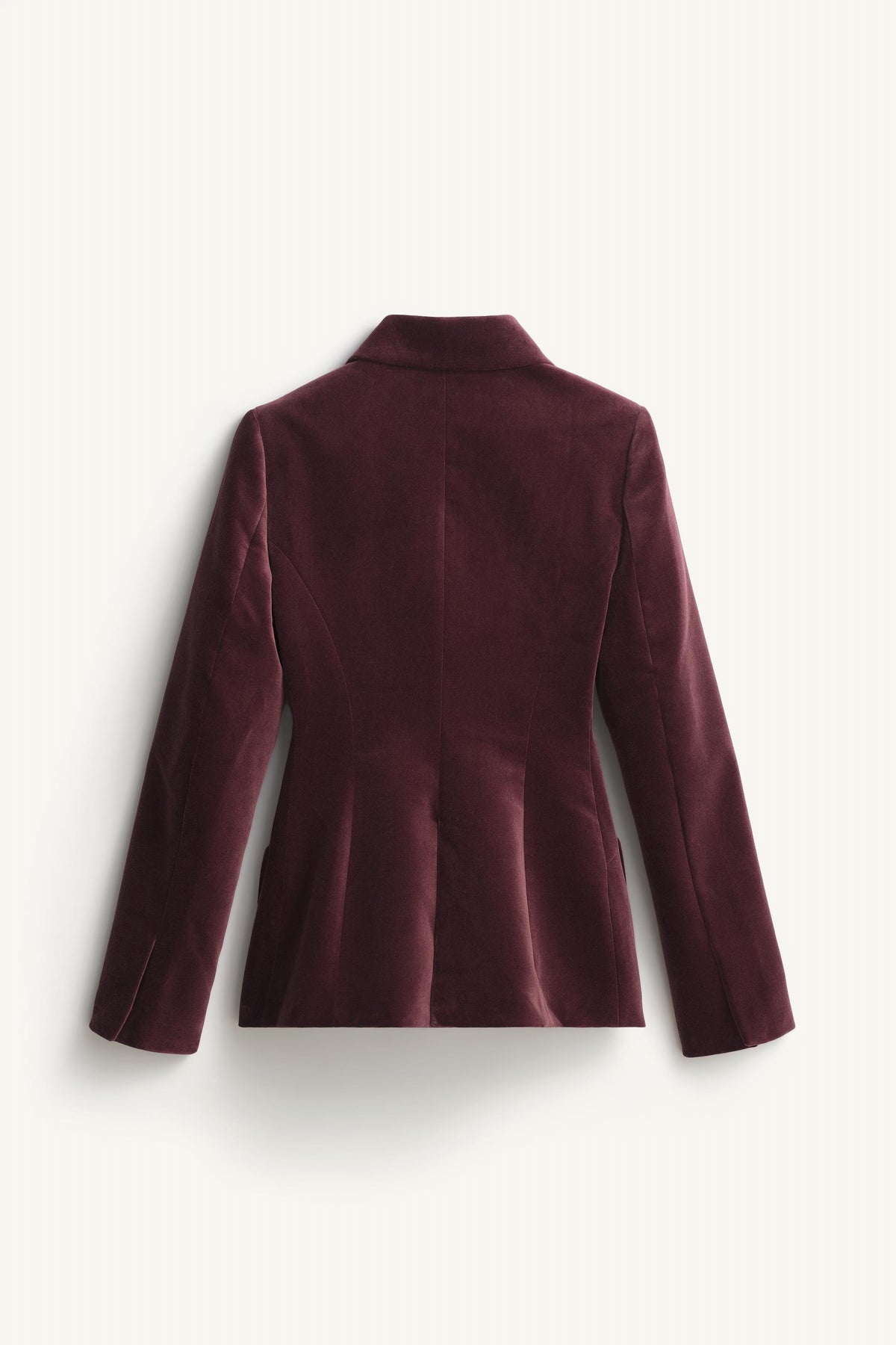 LIMITED EDITION VELVET BLAZER WITH JEWEL BUTTON